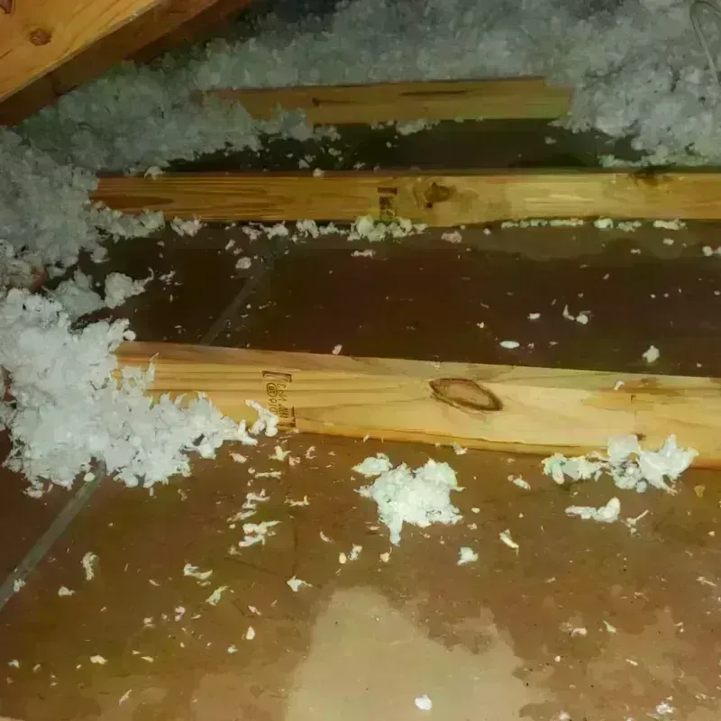 Attic Water Damage in Roan Mountain, TN